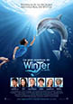 La gran aventura de Winter el delfín (estreno 2011, 11 de noviembre)