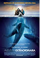Una aventura extraordinaria (estreno 2012, 2 de marzo)