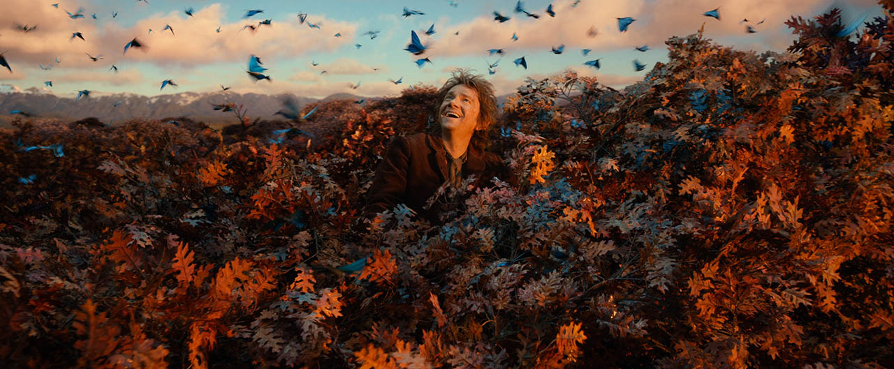 Foto EL HOBBIT: LA DESOLACIÓN DE SMAUG (PARTE 2)