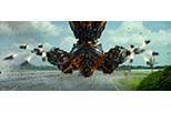 Ver todas las fotos de Transformers 4: la era de la extinción