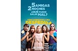 Cartel Cómo sobrevivir a una despedida 2