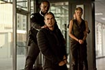 Foto Insurgente 11