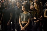 Foto Insurgente 17