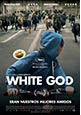 Cartel White God