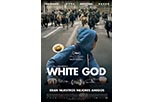 Cartel White God 3