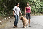 Foto Regina Casé en Una segunda madre 5