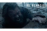 Foto El renacido 6