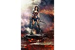 Cartel Wonder Woman