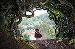 Foto Into the Woods 2