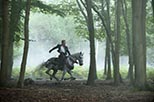 Foto Into the Woods 5