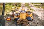 Foto Minions 5