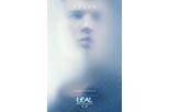 Cartel Ansel Elgort  en La serie Divergente: Leal (Parte 1)