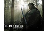 Ver todas las fotos de El renacido