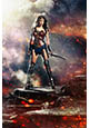 Cartel Wonder Woman