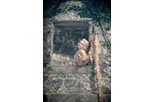 Foto Into the Woods 4
