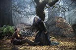 Foto Meryl Streep en Into the Woods 3