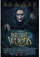 Cartel Into the Woods