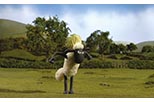 Foto La oveja Shaun 22