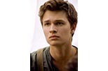 Foto Insurgente 30