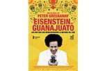 Cartel Eisenstein in Guanajuato 2