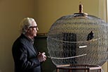 Foto Michael Caine en La juventud 7
