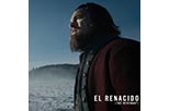 Foto El renacido 12